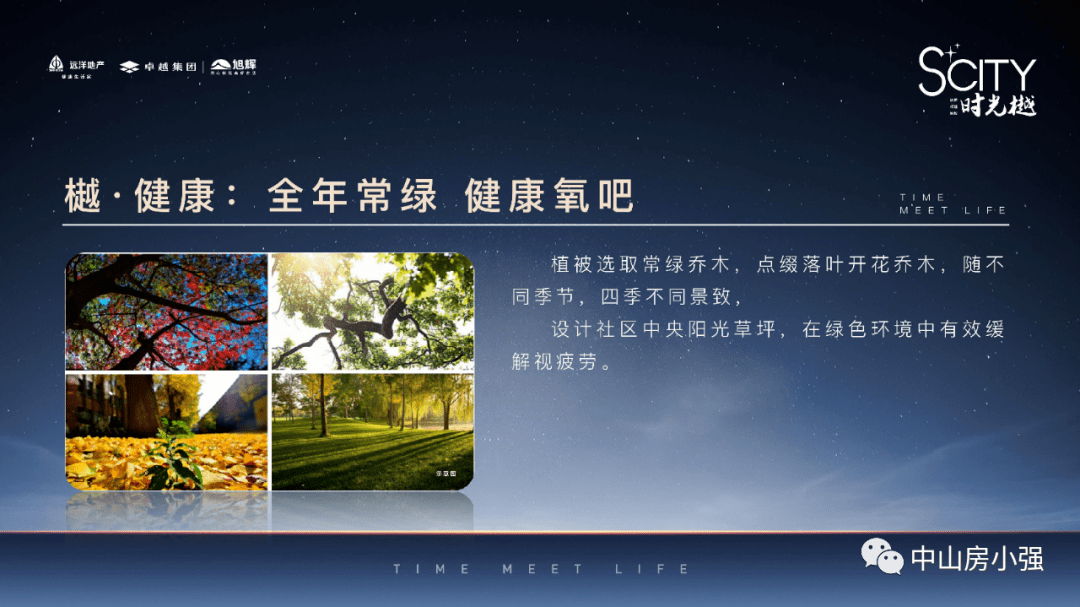 合租医仙最新章节燃文，温馨小窝日常趣事揭秘