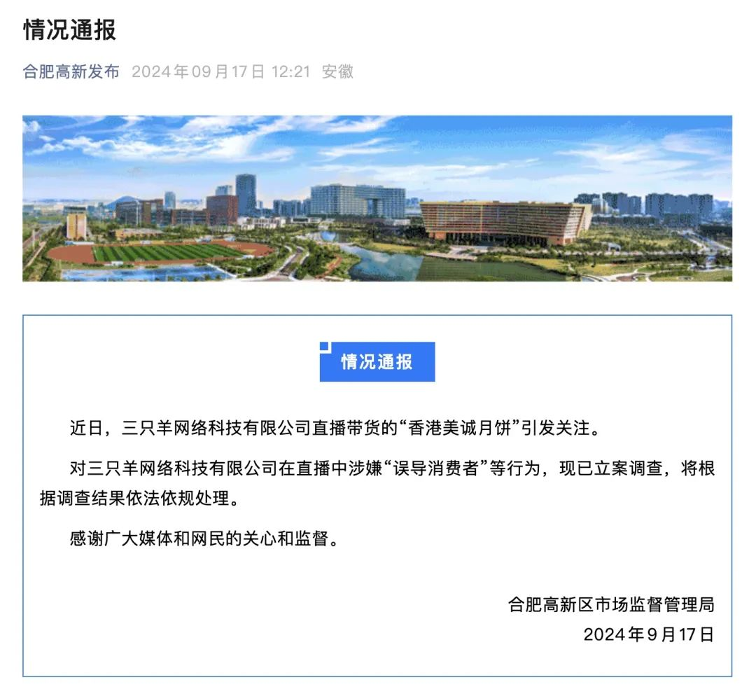 合肥新闻网最新消息，城市发展的观点探析