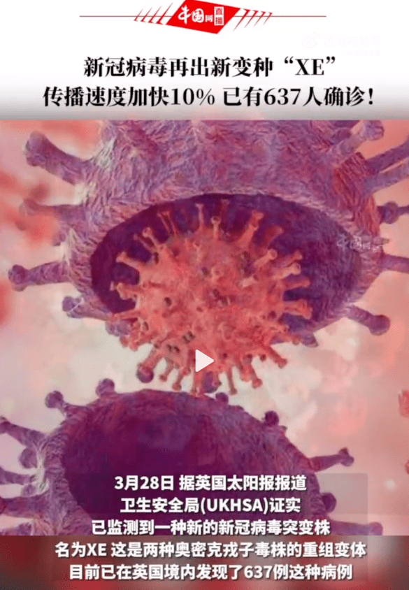 全球关注的新形病毒最新动态与应对策略探讨