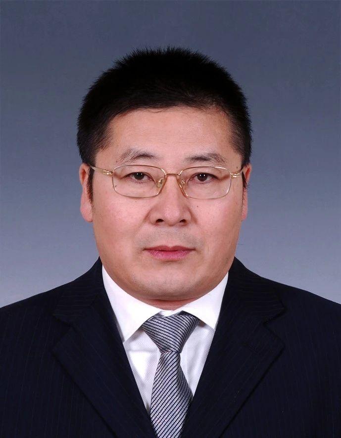 辽宁省组织部最新公告及其背后的温馨故事揭秘