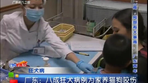多方观点下的狂犬病最新新闻资讯探讨与解析
