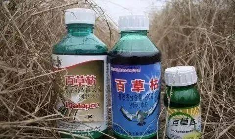 时代背景下的百草枯胶剂市场变迁与最新价格概览